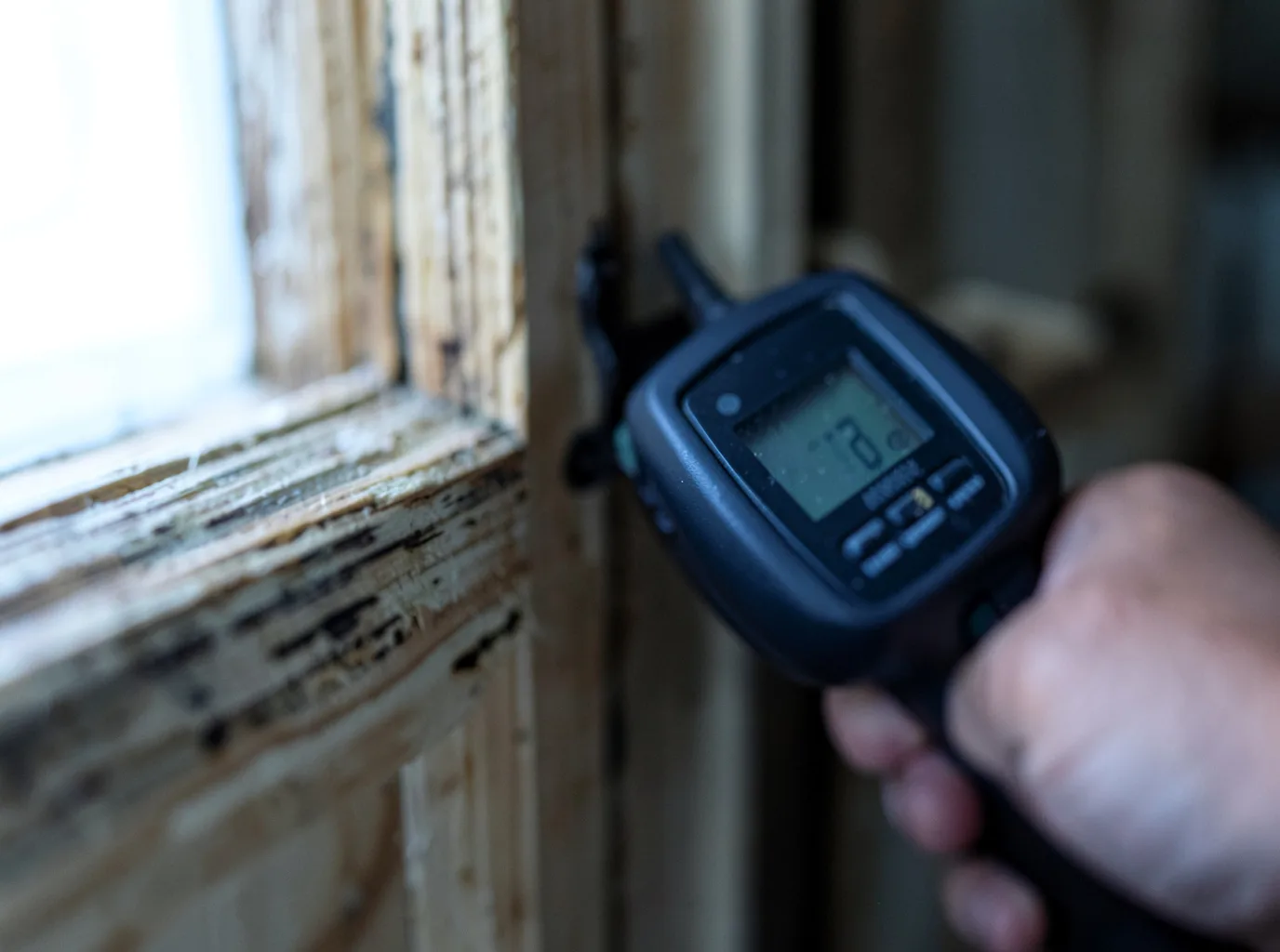Moisture Inspection And Documentation in Whitman, MA